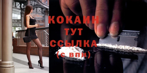 молекула духа Осташков