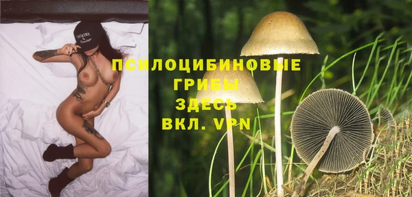 молекула духа Осташков